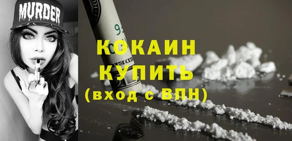 индика Медвежьегорск
