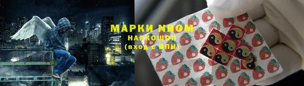 индика Медвежьегорск