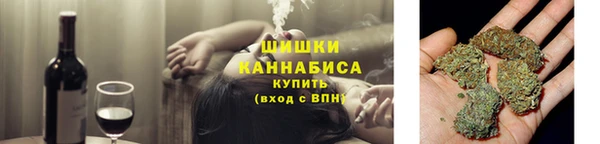 индика Медвежьегорск