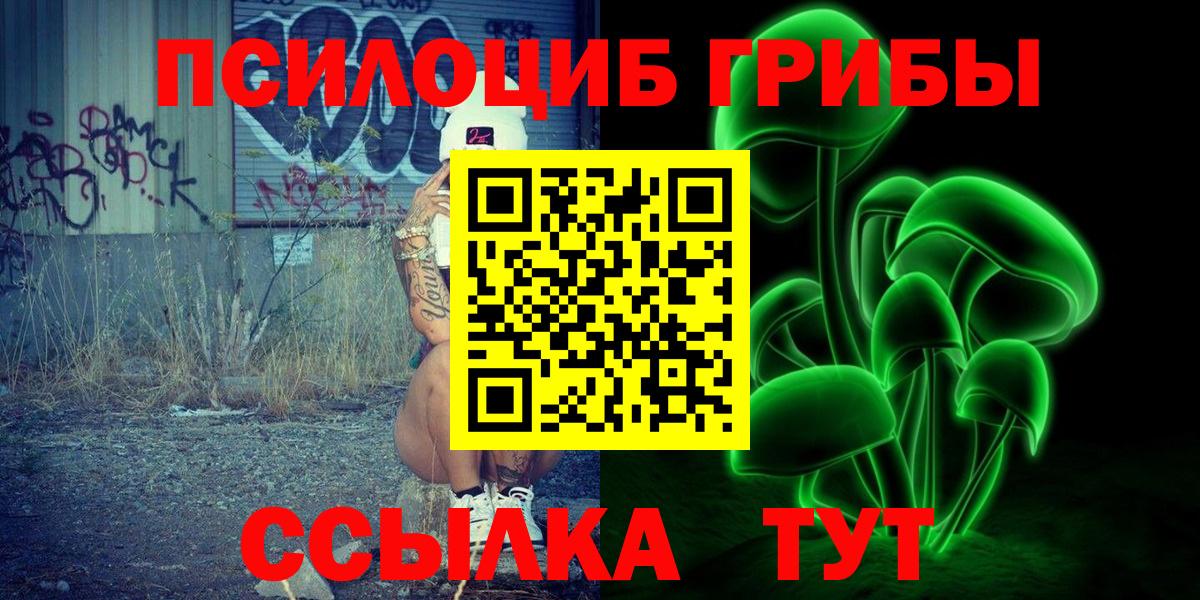 Галлюциногенные грибы Psilocybe Острогожск