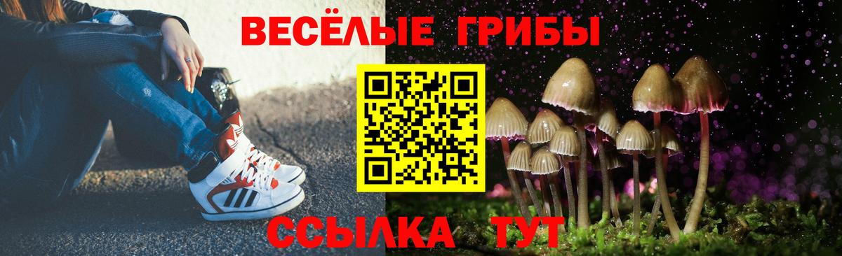 Псилоцибиновые грибы Psilocybe  Вход с VPN  Острогожск 